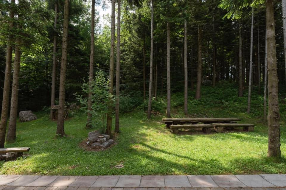 Apartment Apartmaji Velikonja