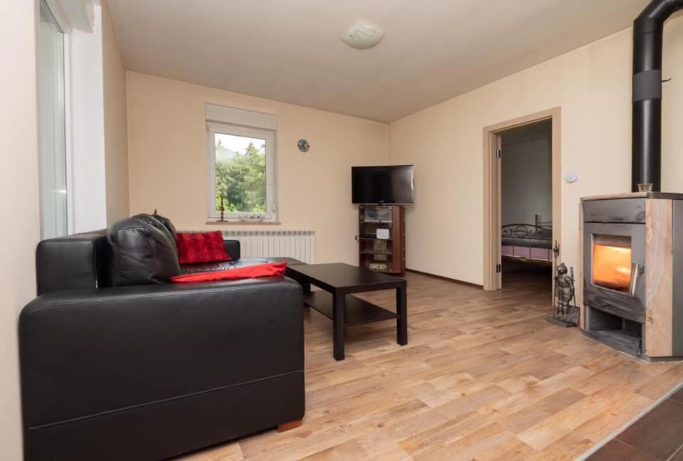 Apartmaji Velikonja *
