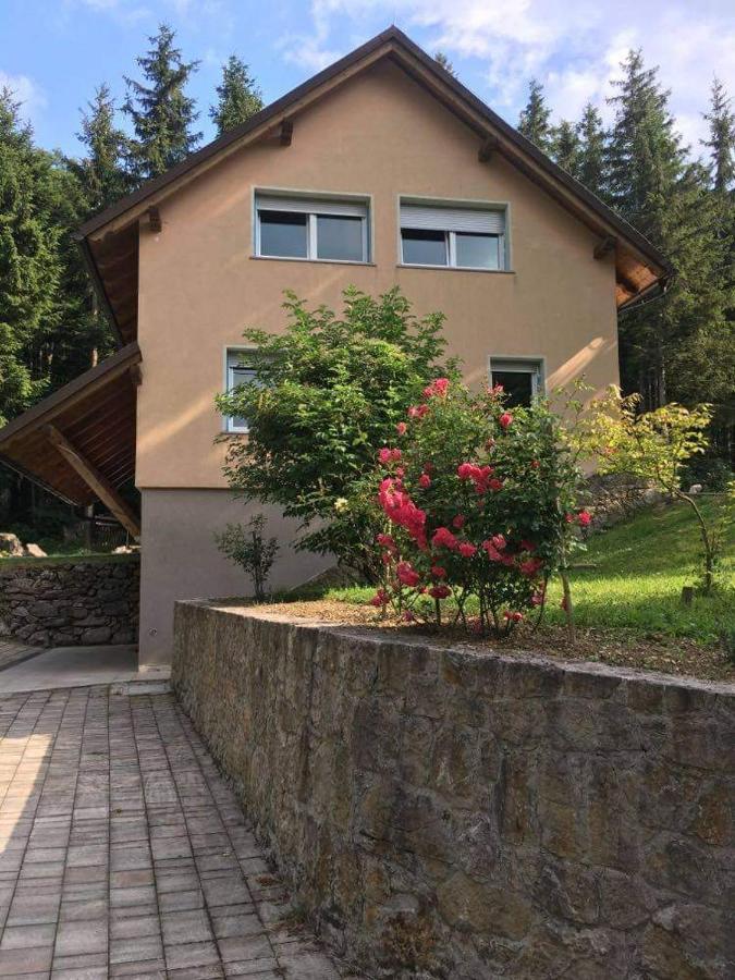 Apartmaji Velikonja Apartment
