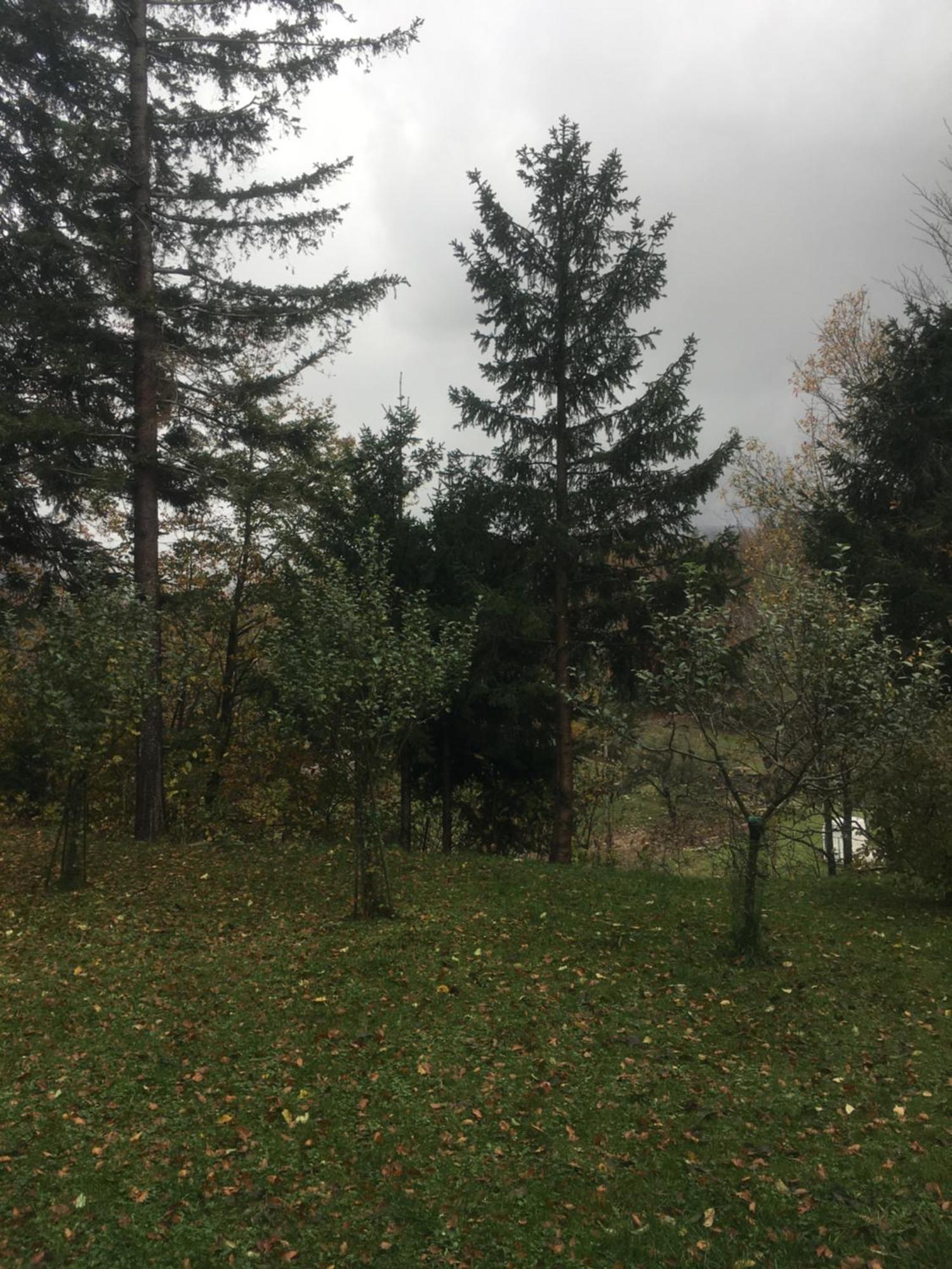 Apartmaji Velikonja *
